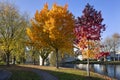 Residential neighborhood with trees in autumn