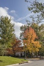 Residential neighborhood stree with autumn foliage and a retro lampost and a woman in a shirt riding her bicycle