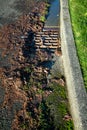 Residential storm drain on a sunny day, wet tree debris around drain, street and curb