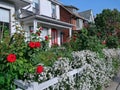 Residential street with beautiful flower garden Royalty Free Stock Photo