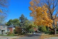 Residential street with maple tree in fall colors Royalty Free Stock Photo