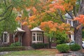 Residential street with maple trees in fall Royalty Free Stock Photo