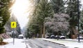 Residential Street View in a peaceful neighborhood. Royalty Free Stock Photo