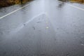 Residential street with water flooding from both sides, yellow center line dots, still raining