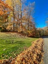 Residential street in woodland area with large fall leaves pile ready for curbside leaf pickup service in Rochester, Upstate New