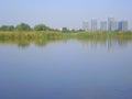 Residential towers viewed over Vacaresti lake in Bucharest Royalty Free Stock Photo