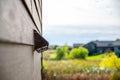 Vent screen used to keep out pests such as birds, mice, and bats Royalty Free Stock Photo