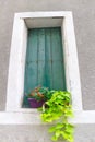 Residential wall green windows shutter