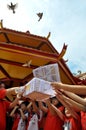 Residents of Chinese descent in Jakarta perform the ritual of releasing birds at a monastery in Glodok, Jakarta - Indonesia Royalty Free Stock Photo