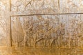 Residents of historical empire with animals in Persepolis Royalty Free Stock Photo