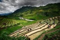 Residents of working in the rice terraces