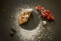 Residues after fruit tartlet. Decorated powdered sugar, red currant and black currant. Top view