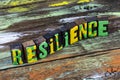 Resilience awareness strength success strong growth emotion change