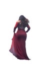 Resilience in Diversity: Confident Back View with Transparent PNG. princess with red dress and long hair. Royalty Free Stock Photo