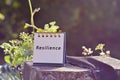 Resilience text written on white note with blurred background of hanging bridge Royalty Free Stock Photo