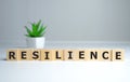 Resilience word concept on cubes on white background Royalty Free Stock Photo