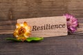 Resilience word