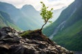 a resilient plant sprouting from a rugged mountain cliff