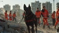 Resilient pup defies destruction, uncovering hope amidst the chaos.