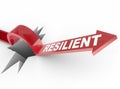 Resilient - Rising to Challenge and Overcoming a Problem Royalty Free Stock Photo