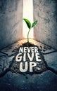 Resilient Seedling Breaking Through Concrete with 'Never Give Up' Text - Urban Nature Photography in Mixed Media