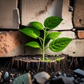 Resilient Urban Nature: Eco-Consciousness Symbol