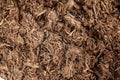 Resinous granules or powder of Agarwood (Aquilaria crassna). Royalty Free Stock Photo