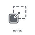 Resize icon from collection.