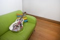 Resonator Guitar on a Green Sofa Royalty Free Stock Photo