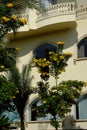 Resort architecture in Egypt. Hotel and palm trees Royalty Free Stock Photo