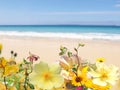 Blue sky and turquoise sea water wave white sand and green tropical plant and beautiful wild flowers suumer beach holiday backgr