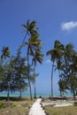 Beach resort with palm trees,Zanzibar island,Tanzania Royalty Free Stock Photo