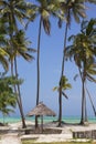 Beach resort with palm trees,Zanzibar island,Tanzania Royalty Free Stock Photo