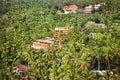 Resort and palm trees Royalty Free Stock Photo