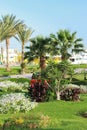 Resort park area. Palma on whom accurate green lawn summer flowers are planted by separate groups. On a background the moored Royalty Free Stock Photo