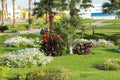 Resort park area. Palma on whom accurate green lawn summer flowers are planted by separate groups. Royalty Free Stock Photo