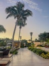 Resort pools area Palm Trees, and reflections at golden hour Royalty Free Stock Photo