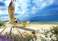 resort cafe and glass of wine on wooden table top ,seascape seagull and seashell , sea water blue sky white clouds  and ocean sum Royalty Free Stock Photo