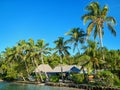 Resort surrounded by leaning palm trees on Nananu-i-Ra island, F Royalty Free Stock Photo