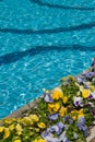 Resort swiming pool and flowers Royalty Free Stock Photo