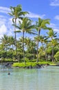 Resort, Tropical garden, Kauai