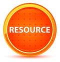 Resource Natural Orange Round Button Royalty Free Stock Photo