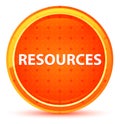 Resources Natural Orange Round Button Royalty Free Stock Photo