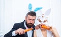 Respect traditions. Happy easter day. Bunny rabbit man and girl eat carrot. Cute bunny wear formal suit tuxedo Royalty Free Stock Photo