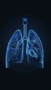 Respiratory infections pneumonia, bronchitis, tuberculosis affecting the lungs.