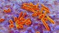 Respiratory pathogens, bacteria Mycobacterium tuberculosis and Streptococcus pneumoniae Royalty Free Stock Photo