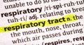 Respiratory tract