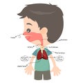 Respiratory tract