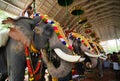 Thrissur, Pooram festival Kerala, India