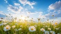 Breathtaking Field of Chamomile and Blue Wild Peas under Cerulean Sky with Morning Glow. Generative Ai Royalty Free Stock Photo